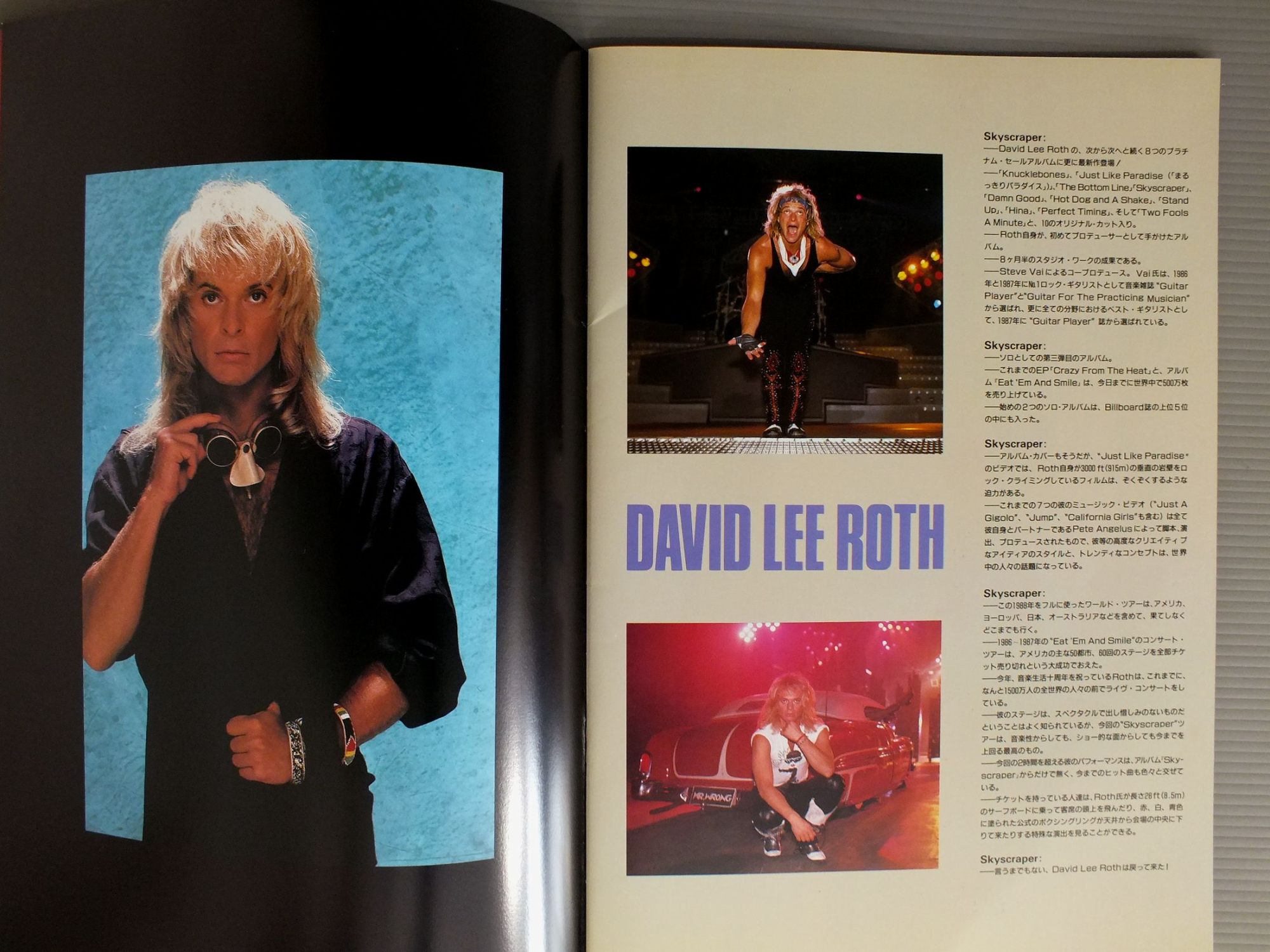 DAVID LEE ROTH/JAPAN TOUR 1988 PROGRAM | eBay